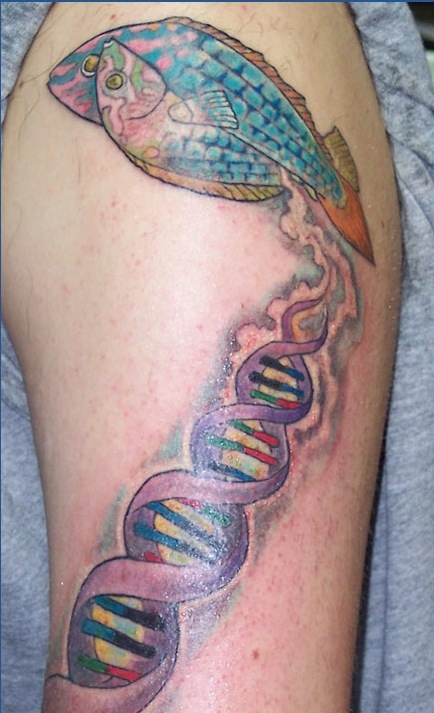 Fish And DNA Biology Science Tattoo On Left Half Sleeve