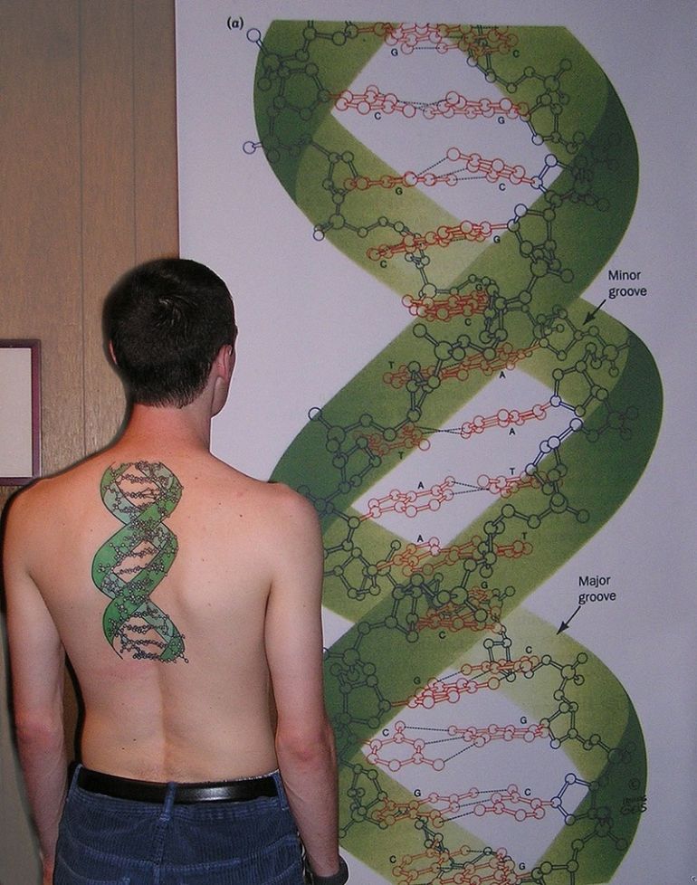 Green DNA Science Tattoo On Upper Back For Men