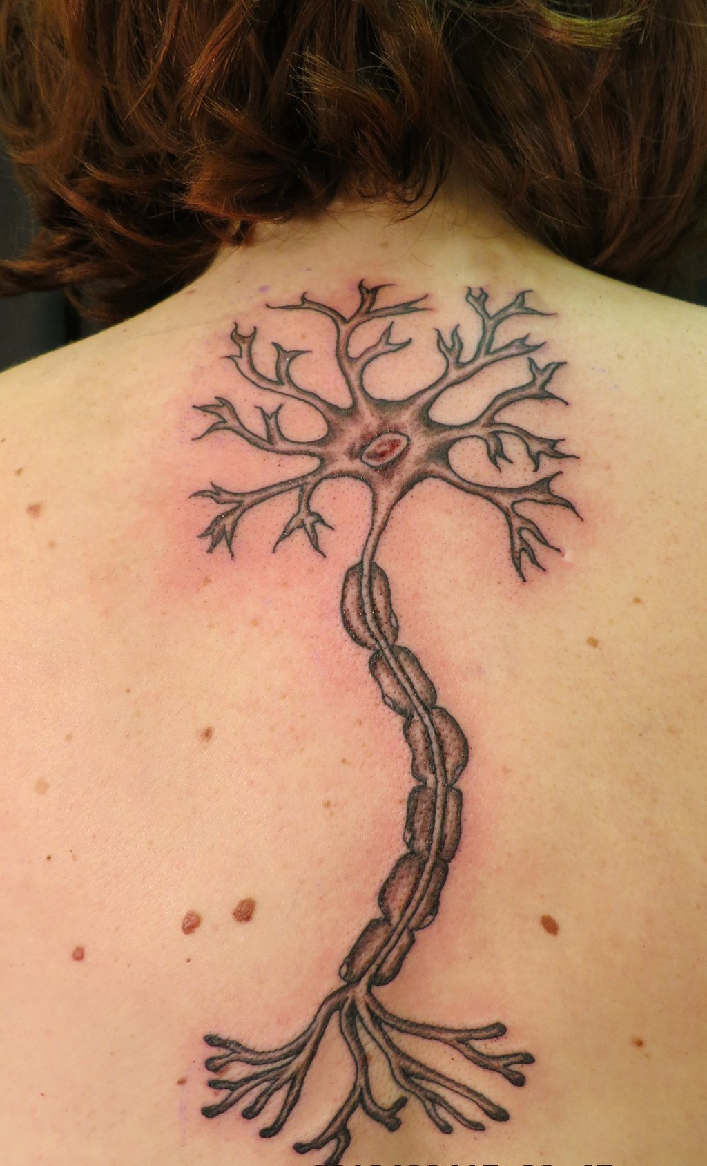 Grey Color Neuro Science Tattoo On Upper Back By Jadedxink