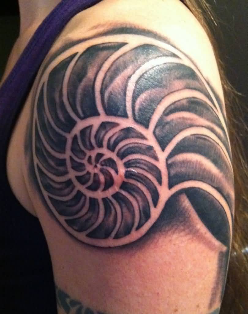 Grey Spiral Seashell Tattoo On Left Shoulder