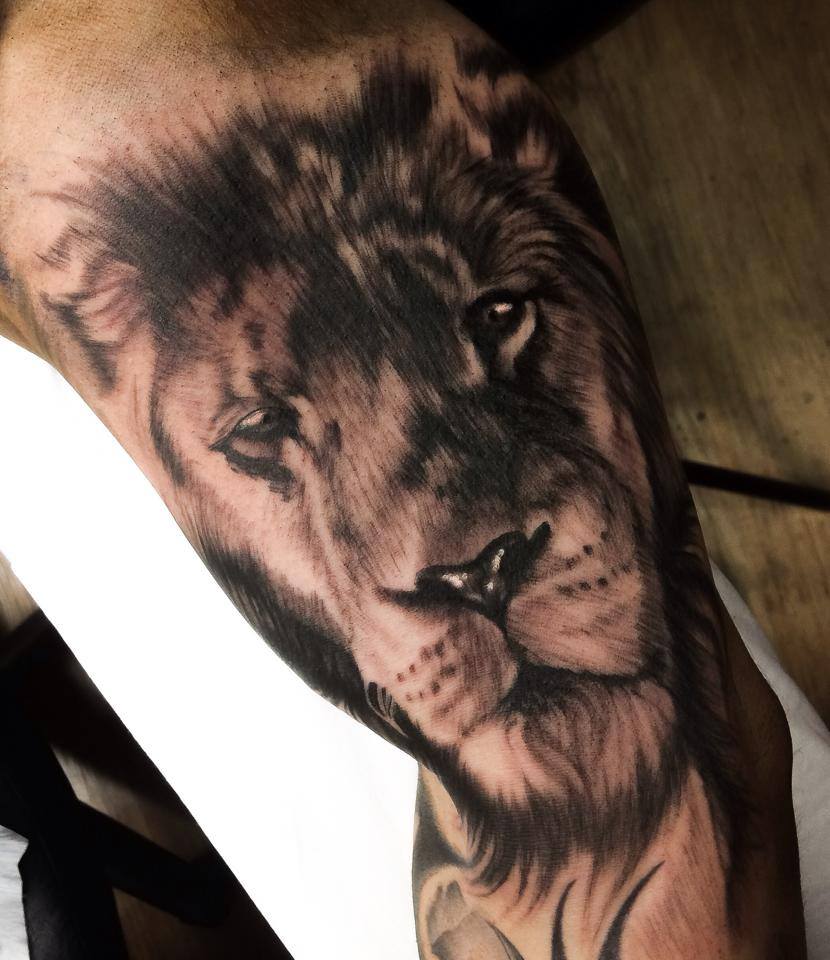 Grey ink lion tattoo on arm by Levi Barnett