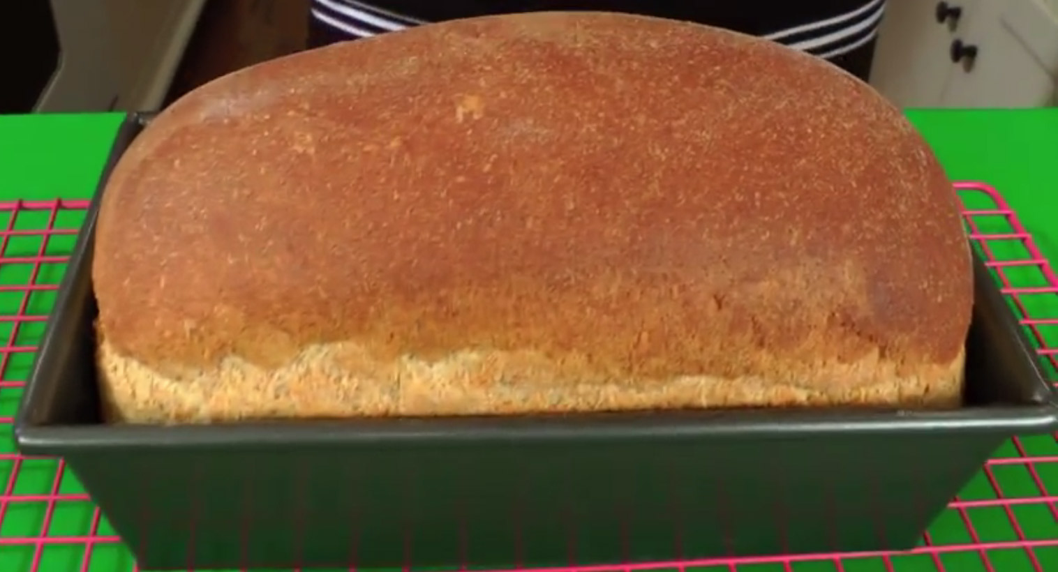 Quick and Easy Whole Wheat Bread Recipe Video