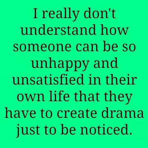 I really don't understand how someone can be so unhappy and unsatisfied in their own life that they have to create drama just to be noticed.