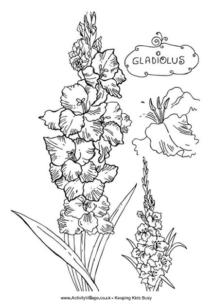 Nice Black And White Gladiolus Flowers Tattoo Design