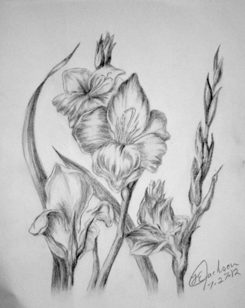 Nice Grey Gladiolus Flowers Tattoo Drawing