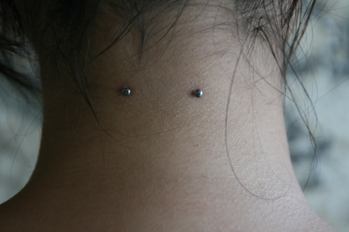 Nice Silver Barbell Surface Neck Piercing