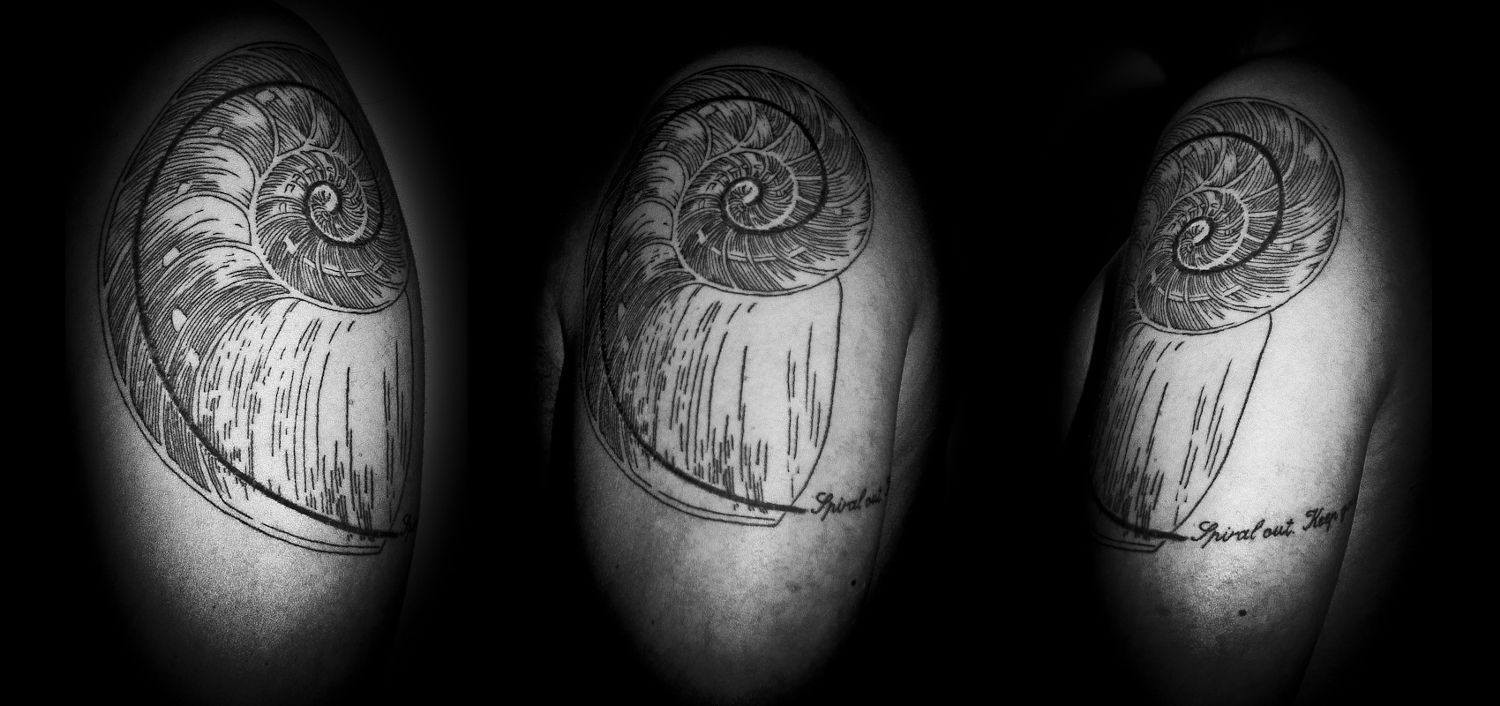 Nice Spiral Seashell Tattoo By Michele Bartocci