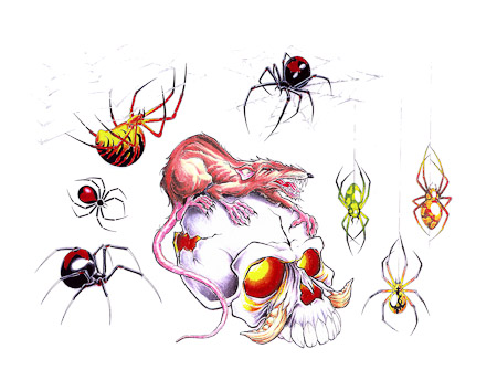 Rat Skull Spider Black Widow Color Tattoo Samples Set