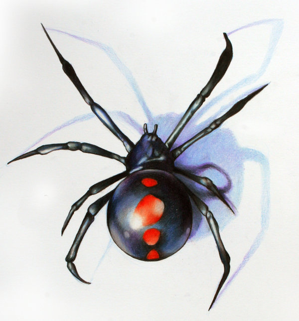 Realistic Black Widow Tattoo Design By Phedre1985