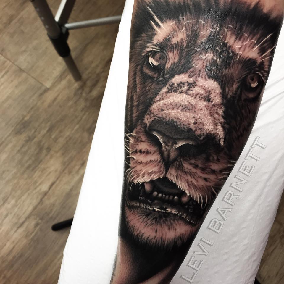 Realistic lion tattoo on arm by Levi Barnett