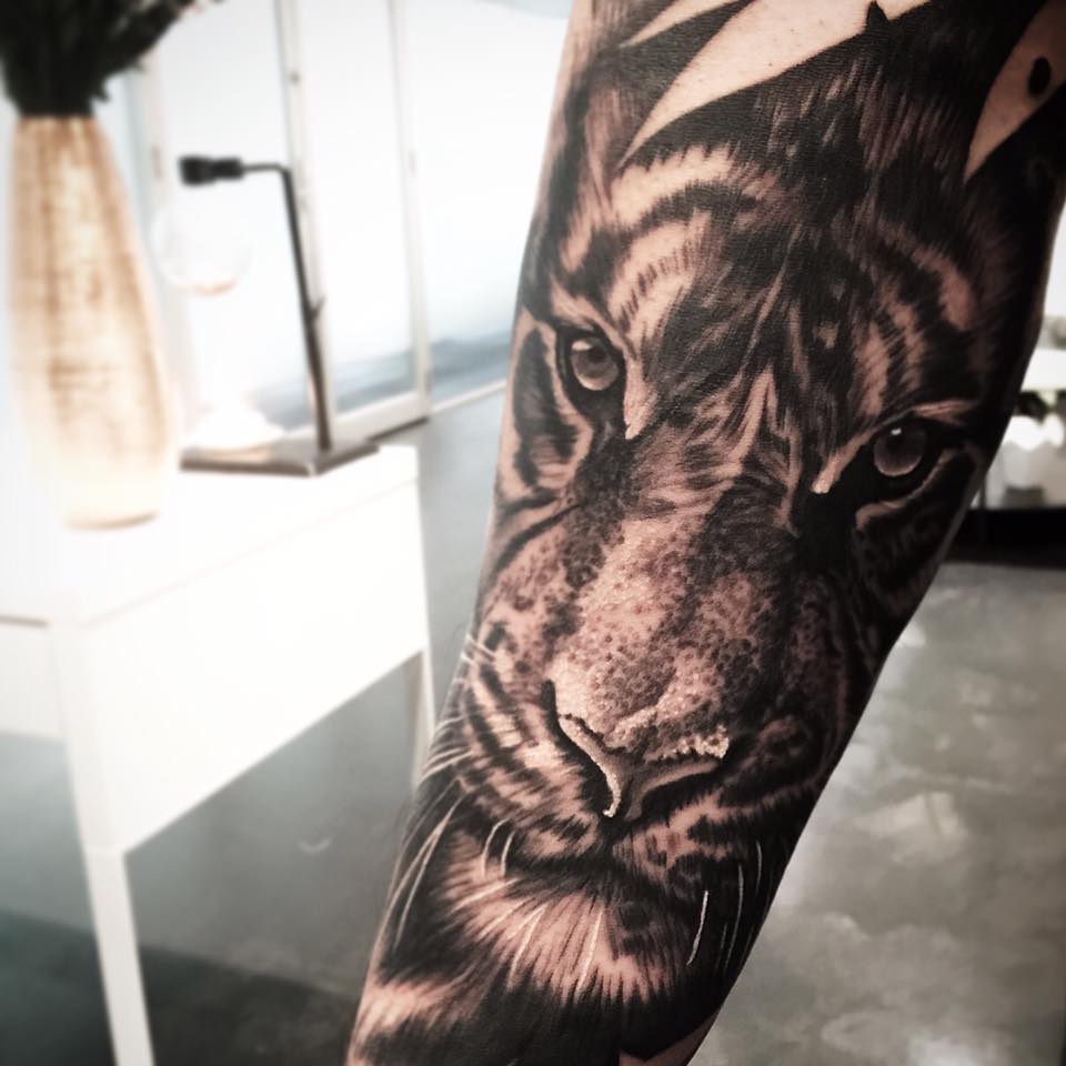 Realistic Grey Ink Tiger Tattoo On Forearm