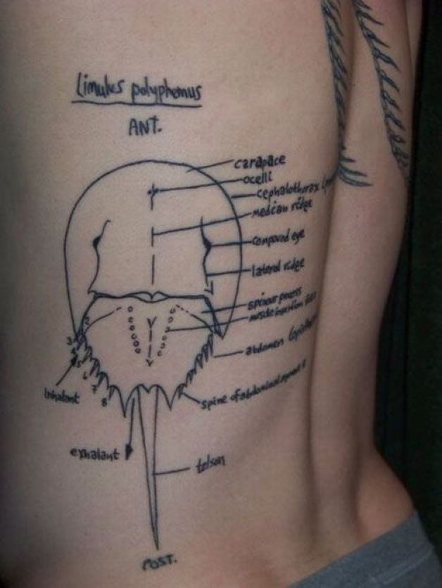 Science Inspired Diagram Tattoo On Lower Back