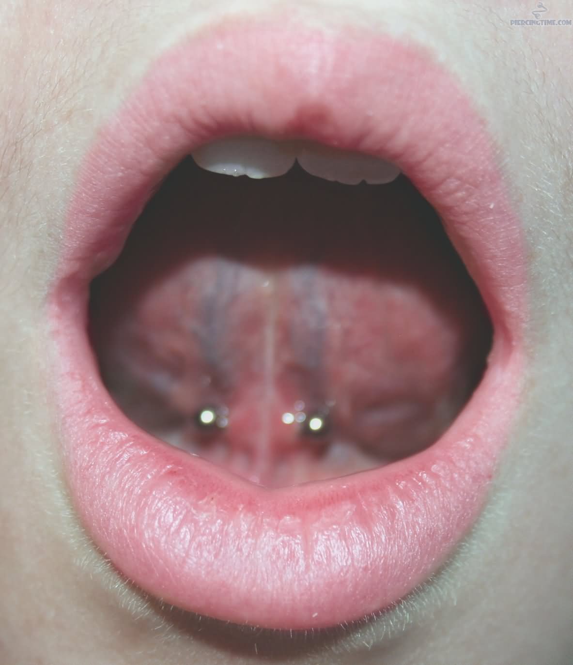 Silver Barbell Tongue Frenulum Piercing Image