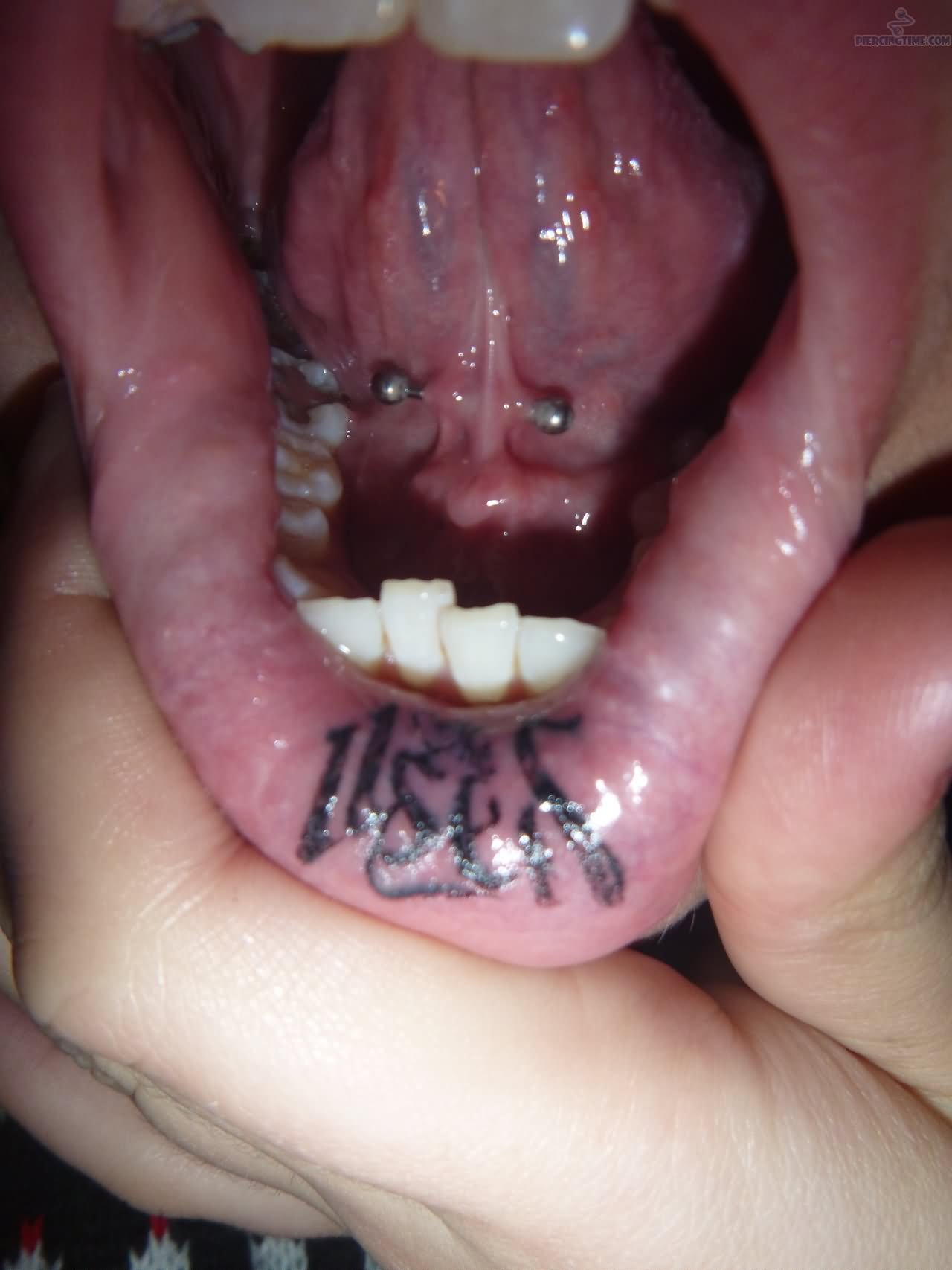 Silver Barbell Tongue Frenulum Piercing Sample