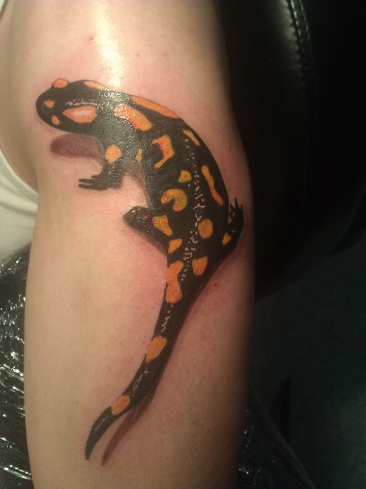 3D Fire Salamander Tattoo On Left Half Sleeve By Frufru Punk