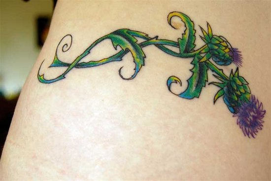 Attractive Scottish Thistle Tattoo