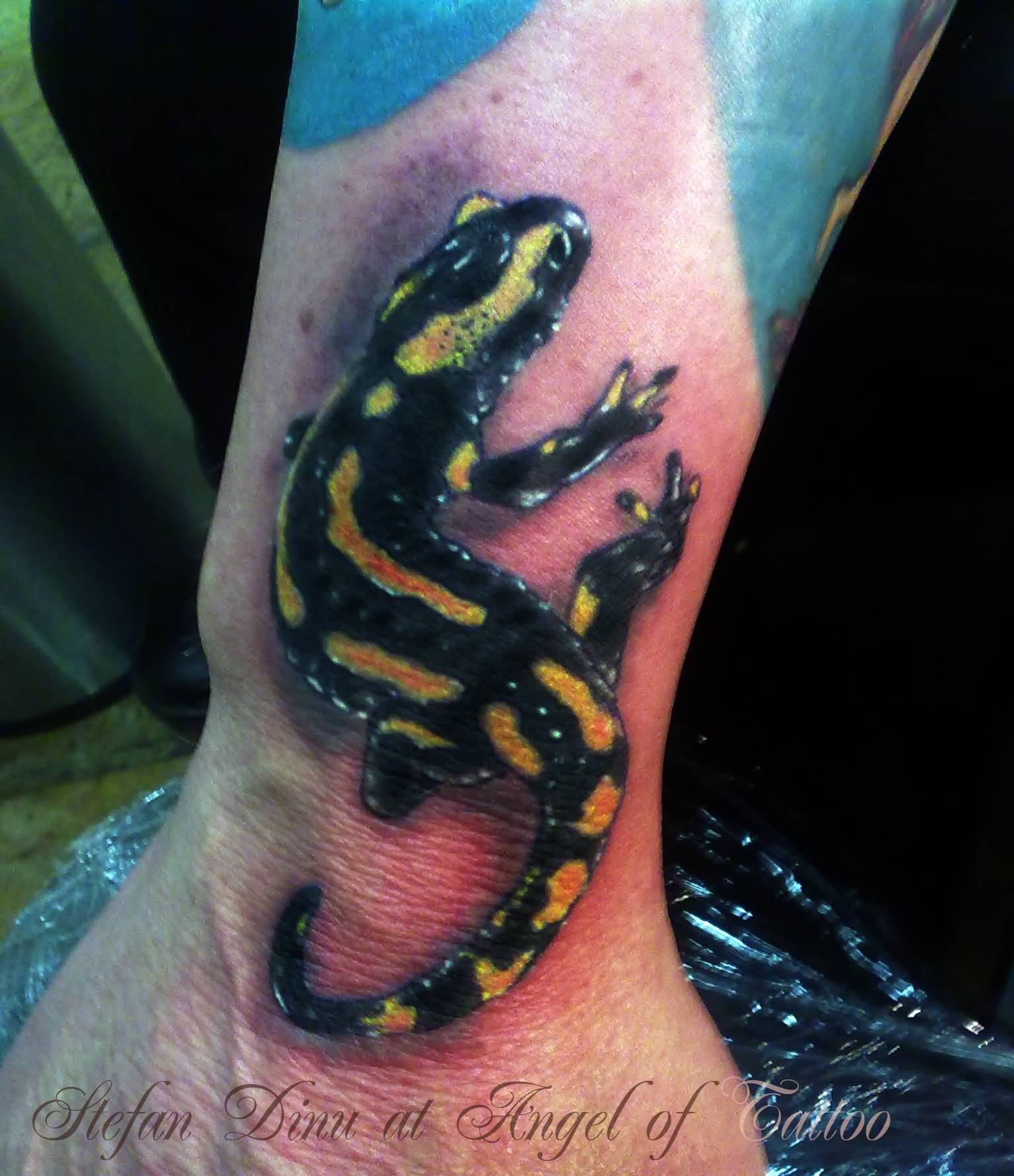 Awesome Color Salamander Tattoo On Sleeve