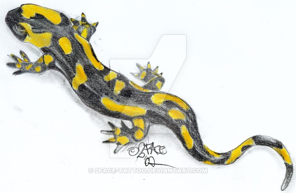 Awesome Fire Salamander Tattoo Drawing By 2Face Tattoo
