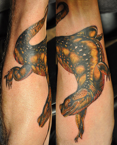 Awesome Salamander Tattoo On Forearm