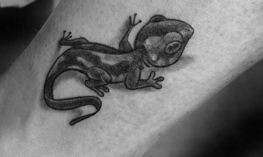 Baby Salamander Tattoo On Arm