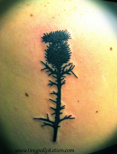 Black Ink Scottish Flower Tattoo
