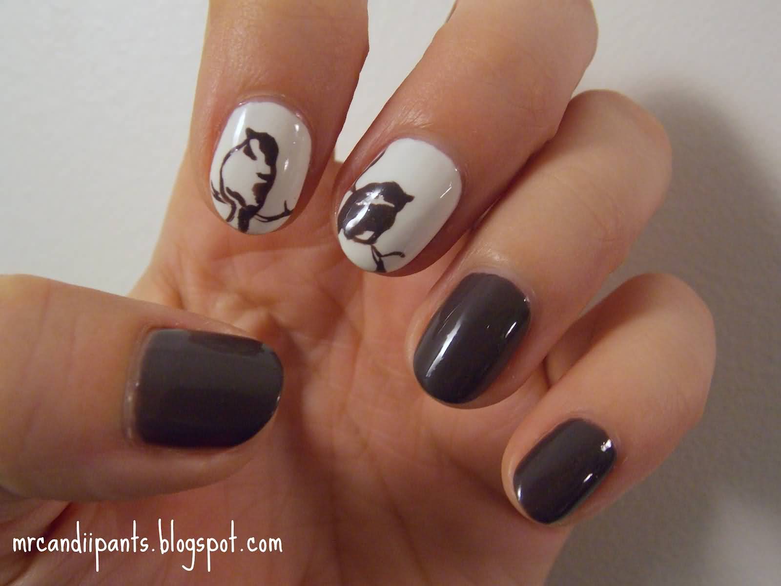 Brown And White Birds Design Nail Art