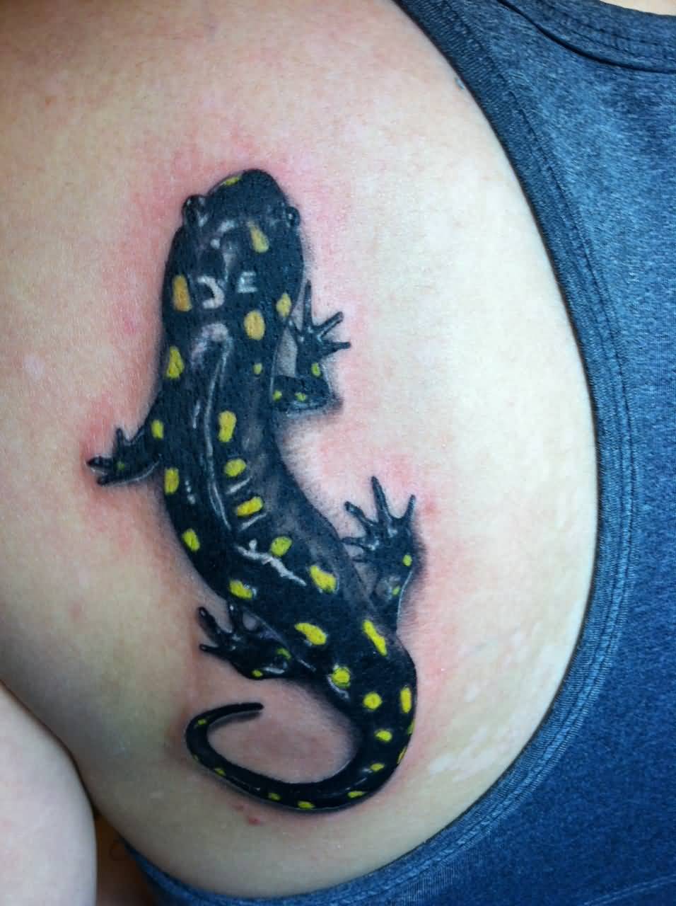 Color Ink Salamander Tattoo On Left Back Shoulder