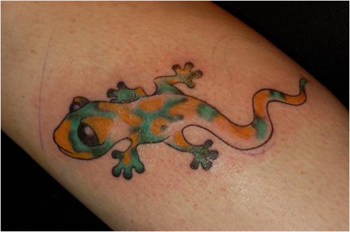 Color Salamander Tattoo On Arm