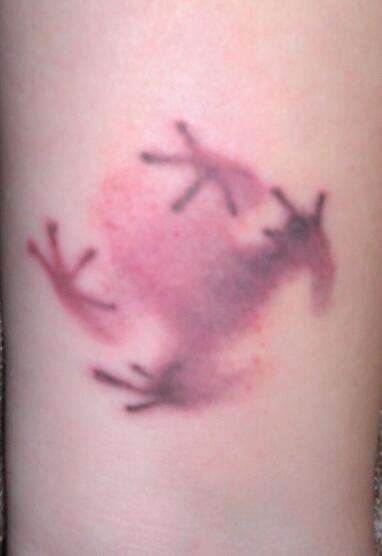 Cool Inner Frog Tattoo On Arm