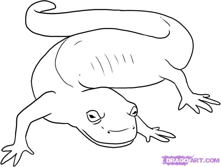 Crawling Salamander Tattoo Drawing
