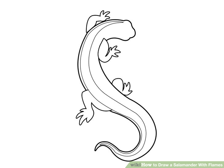 Eyeless Salamander Tattoo Drawing