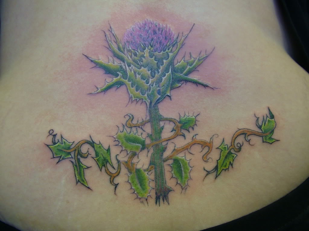 Fantastic Scottish Thislte Tattoo On Lower Back