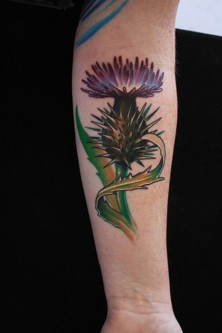 Fantastic Scottish Thistle Tattoo On Arm