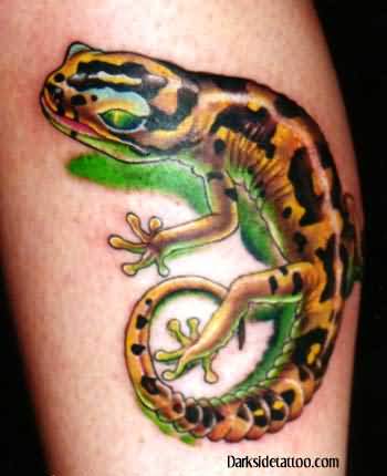 Fire Salamander Tattoo By Expert