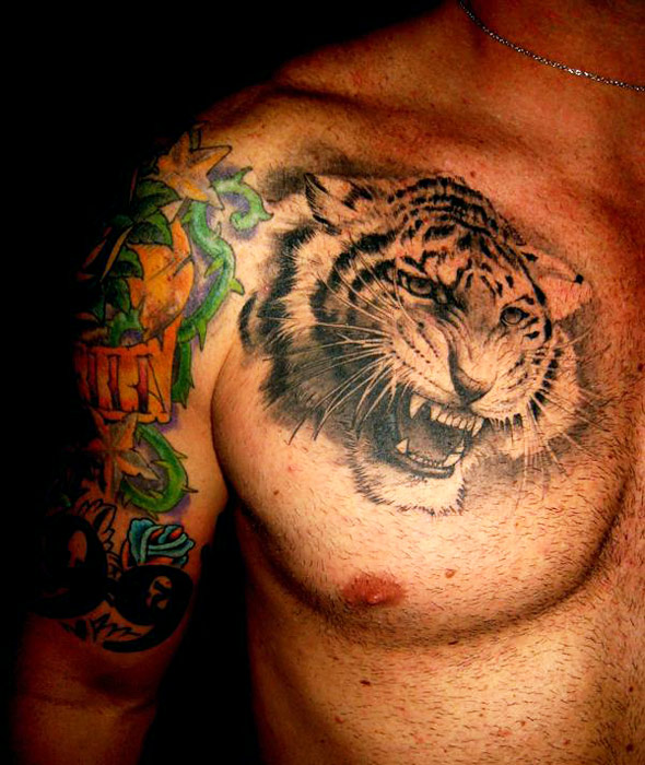 Grey Ink Roaring Tiger Head Tattoo On Man Chest by Chris Garver