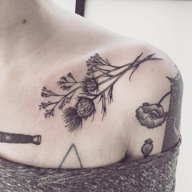 Grey Scottish Flower Tattoo On Collarbone For Girls