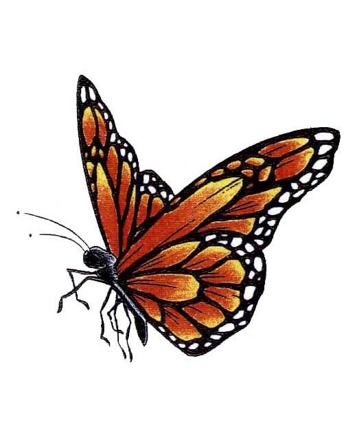 Latest Monarch Butterfly Tattoo Design