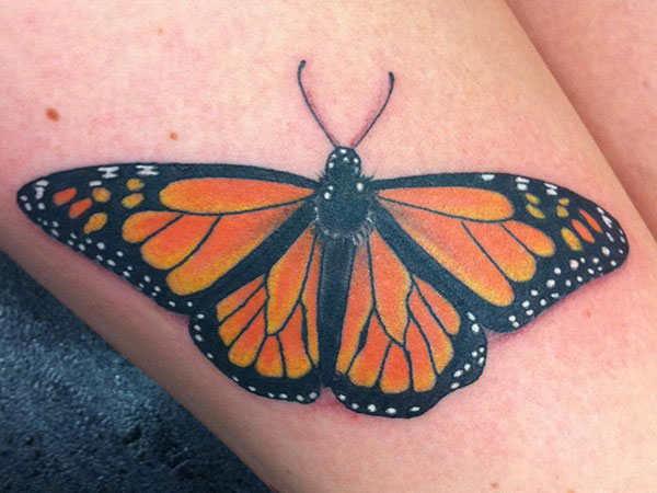 Monarch Butterfly Tattoo On Leg