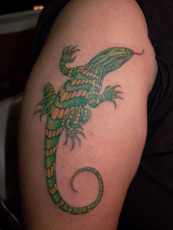 Nice Color Salamander Tattoo On Half Sleeve
