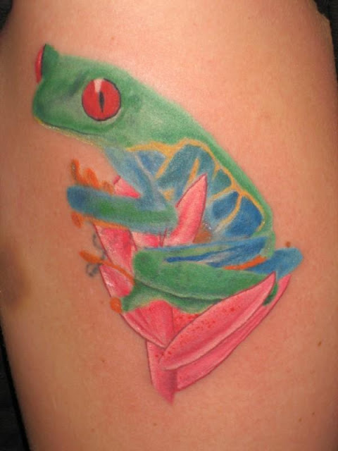 Nice Colored Tree Frog Tattoo