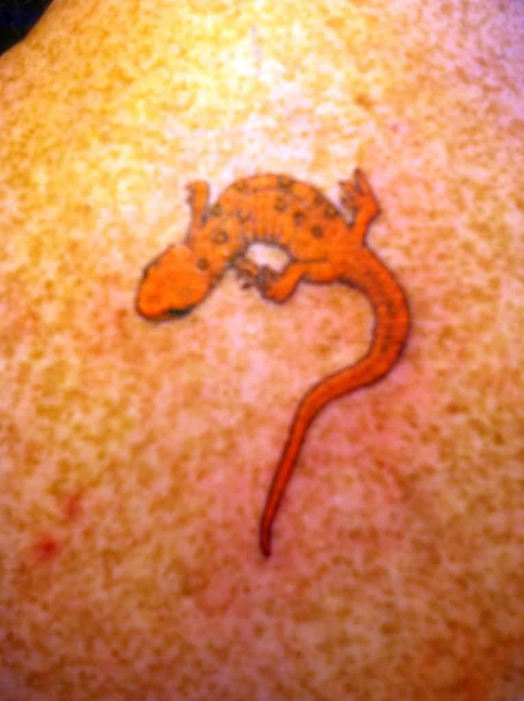 Orange Salamander Tattoo On Upper Back By IdentityTBD