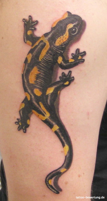 Realistic Salamander Tattoo On Half Sleeve