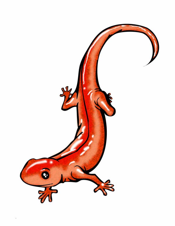 Red Salamander Tattoo Design By Mth1022