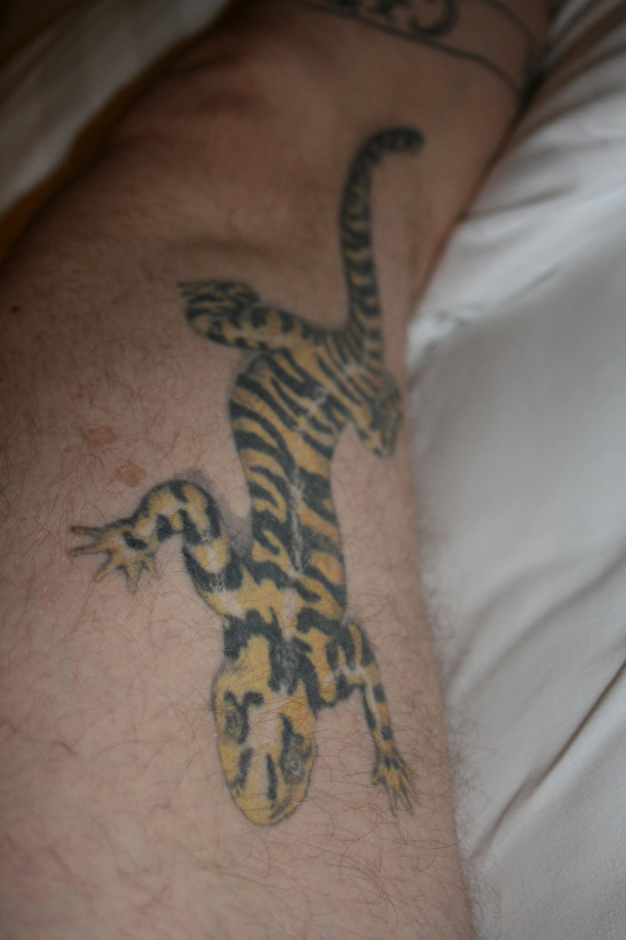 Salamander Tattoo By Jpreiss