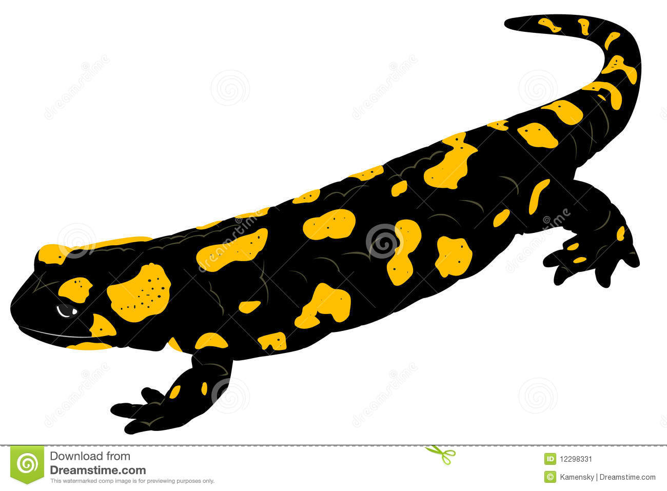 Salamander With White Background Tattoo Design