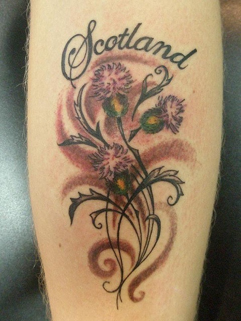 Scottish Thistle Tattoo On Forearm By Heaven N Hell
