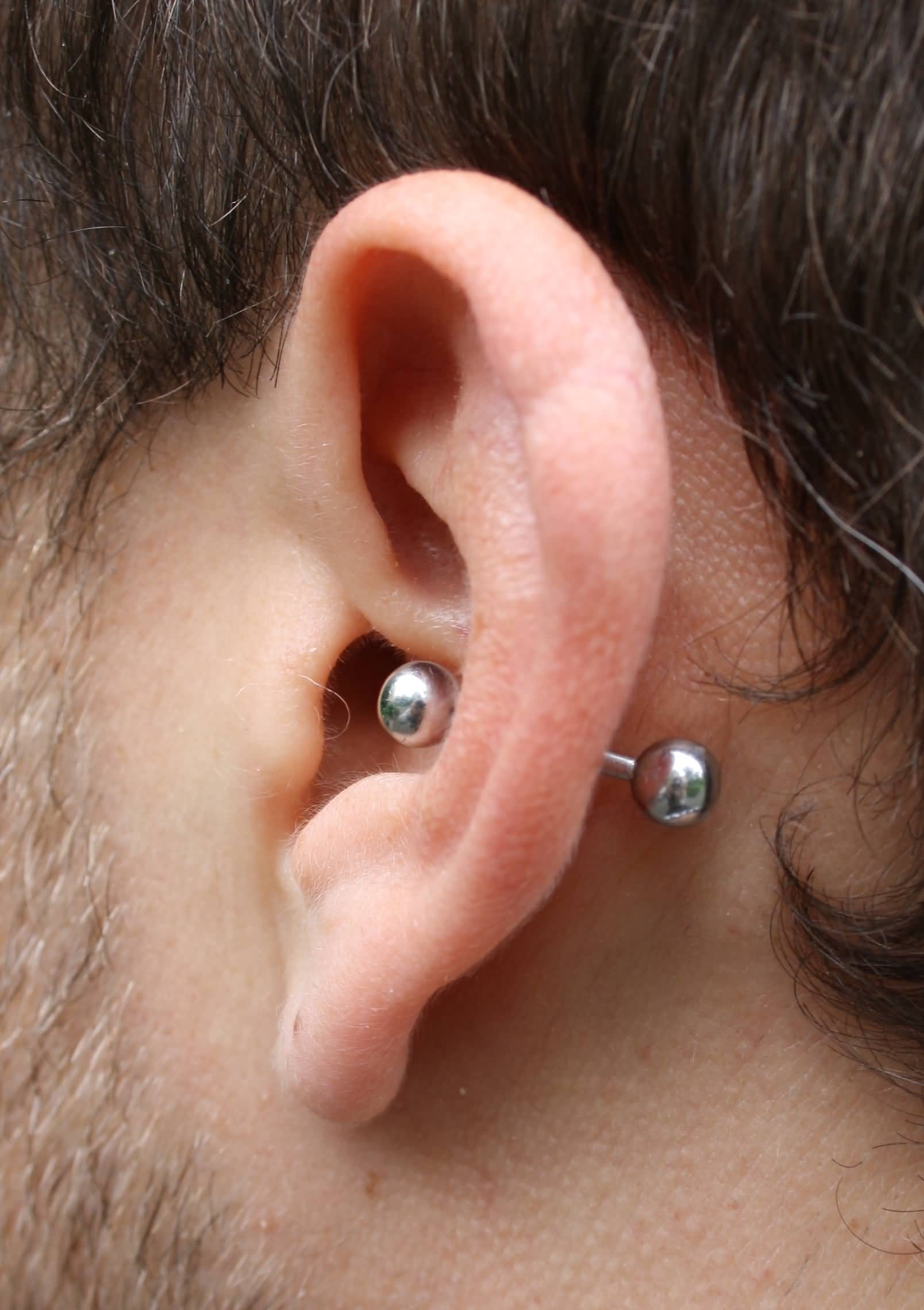 Silver Barbell Outer Conch Piercing On Left Ear