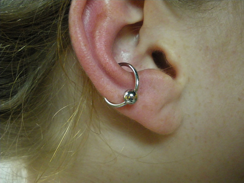 Silver Bead Ring Outer Conch Piercing Picture
