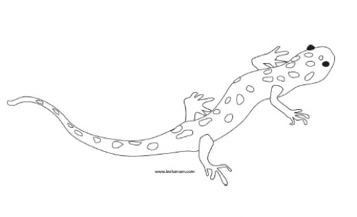 Simple Salamander Tattoo Drawing