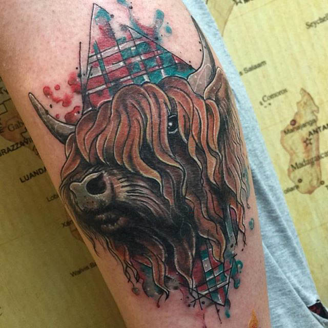 Wonderful Scottish Buffalo Tattoo On Forearm